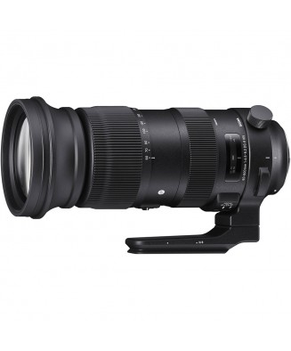 SIGMA 60-600 mm f/4.5-6.3...