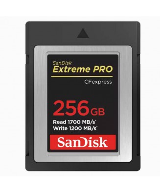 SANDISK PROFESSIONAL CF...